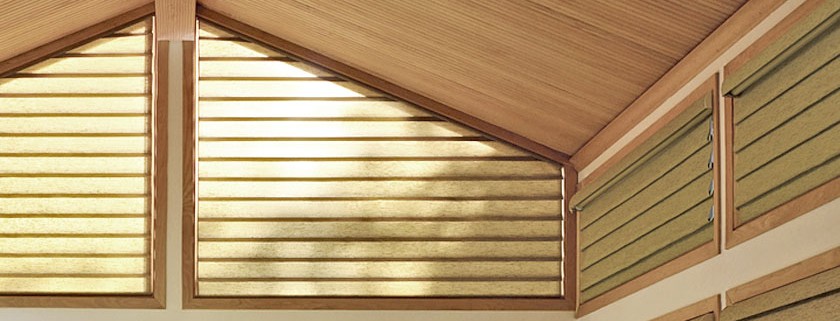 shaped blinds